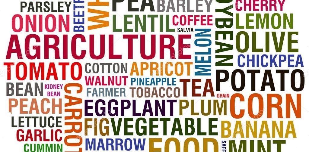 fruits and vegetables